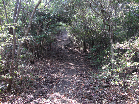 20131116hike (254)